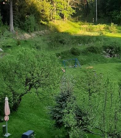 Pod Modrzewiem Mieszkania Wakacyjne Duszniki Zdroj Bagian luar foto