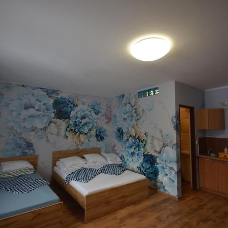Pod Modrzewiem Mieszkania Wakacyjne Duszniki Zdroj Bagian luar foto