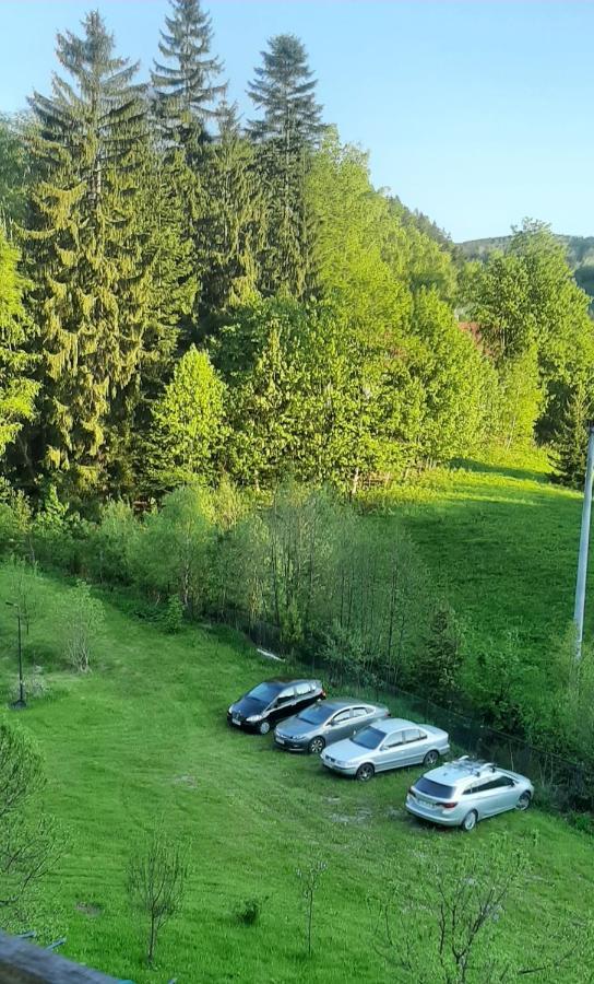Pod Modrzewiem Mieszkania Wakacyjne Duszniki Zdroj Bagian luar foto